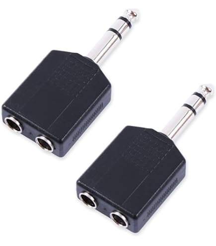 Amazon | JVCケンウッド ビクター ピンプラグX2-ピンプラグX2 0.5M CN
